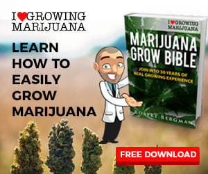 ILGM Free Marijuana Grow Bible-All Your Info in One Place!