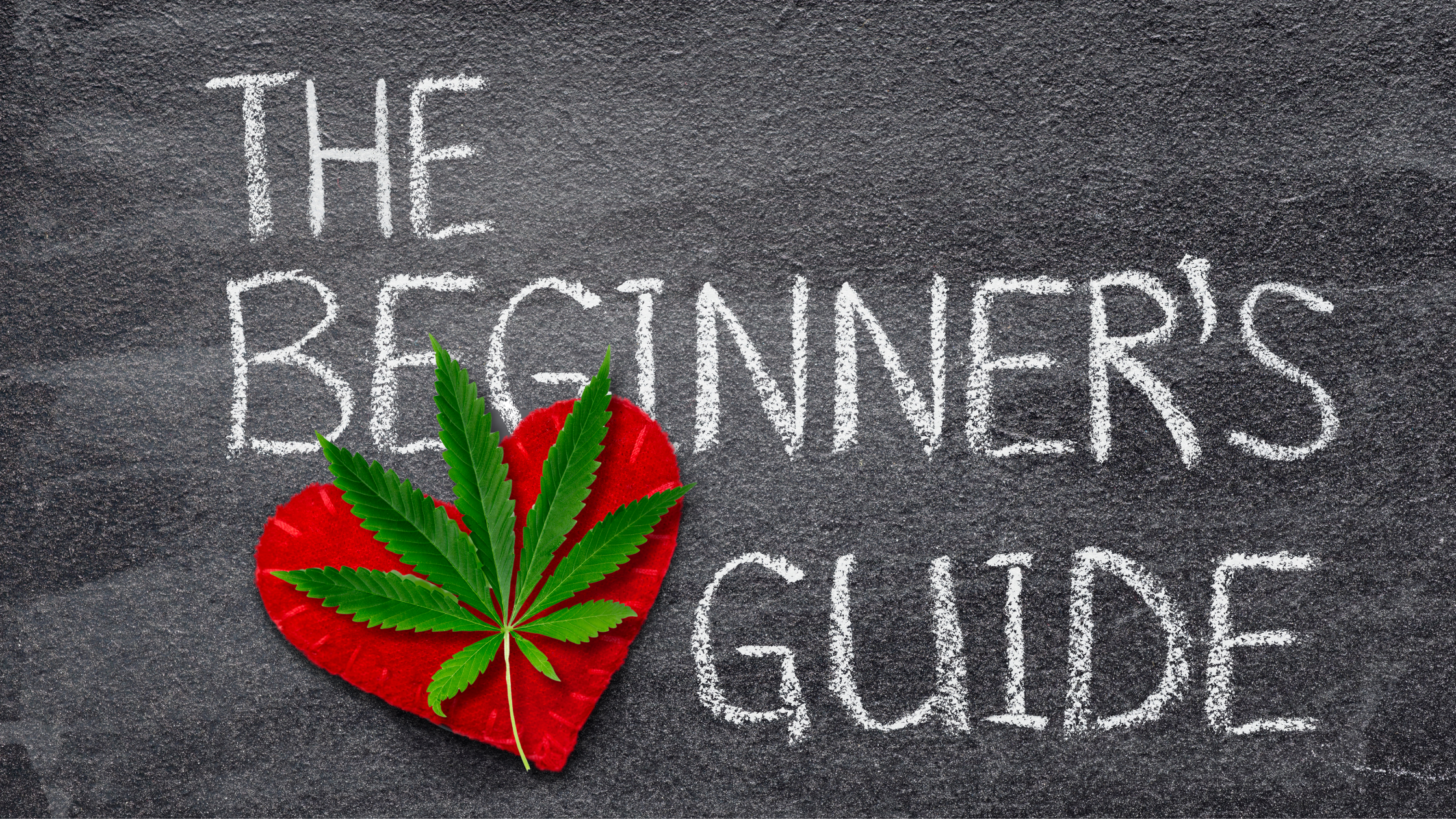 Beginner's guide to cannabis terms