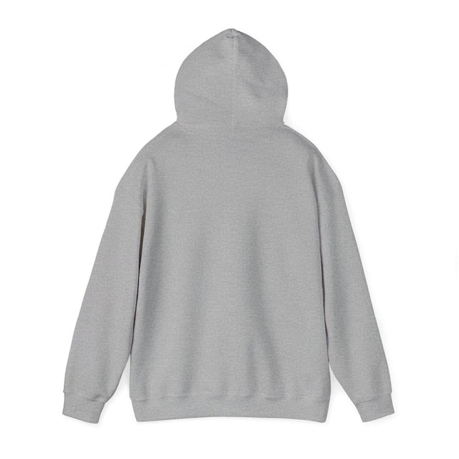 Unisex Hooded Sweatshirt: Ouid Classic