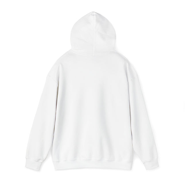 Unisex Hooded Sweatshirt: Ouid Classic